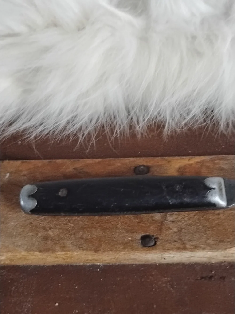 Vintage Black-Handled Carving Fork